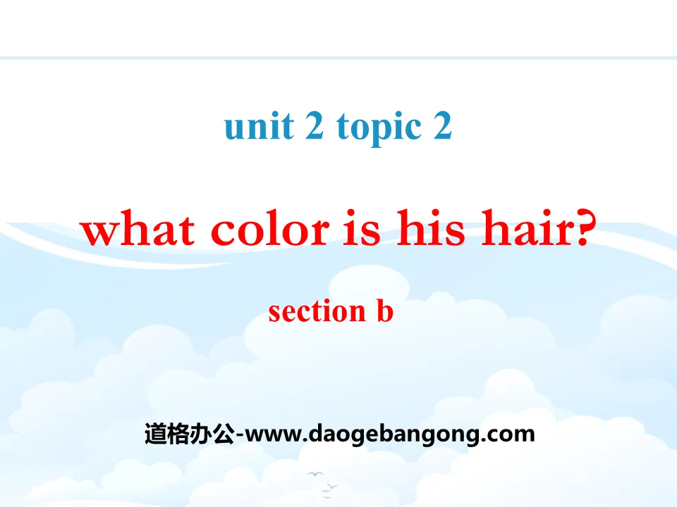 《What color is his hair?》SectionB PPT