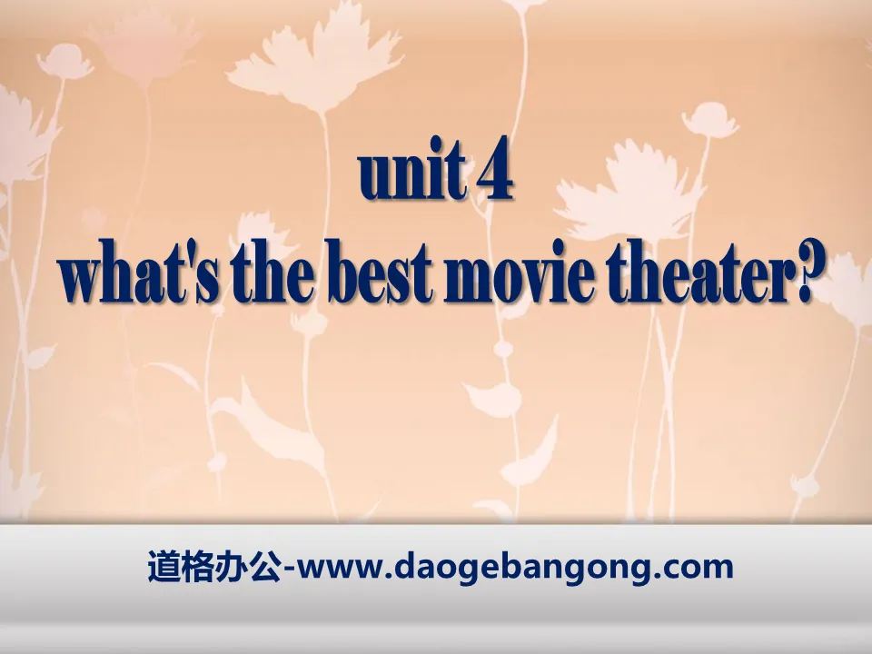 《What's the best movie theater?》PPT课件19