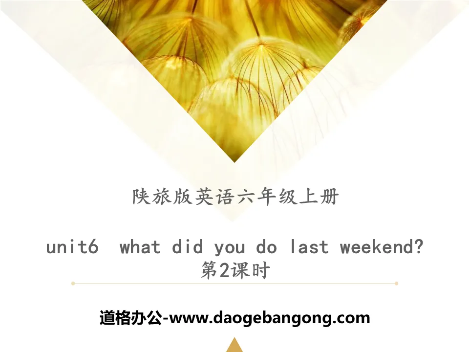 《What Did You Do Last Weekend?》PPT下载