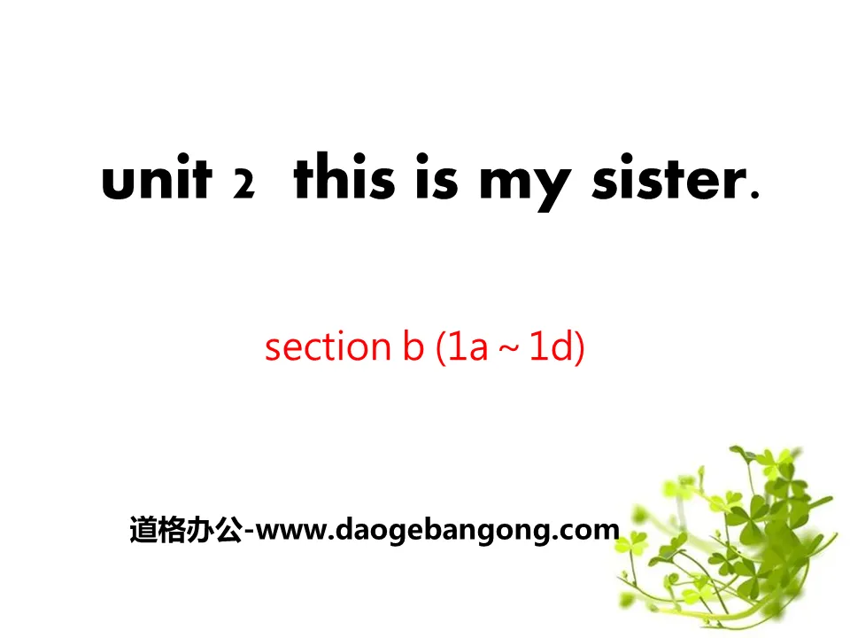 《This is my sister》PPT课件11