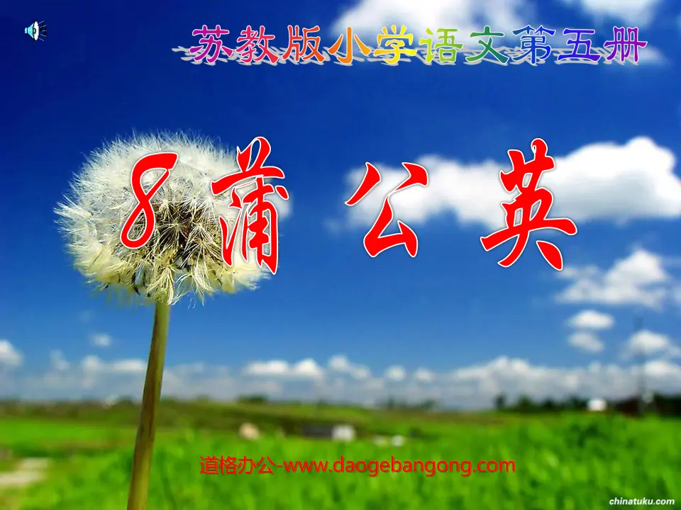 《蒲公英》PPT课件