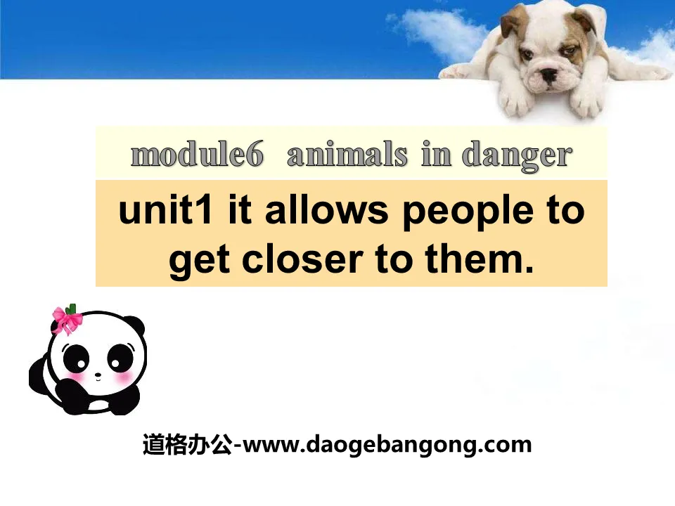 《It allows people to get closer to them》Animals in danger PPT课件2