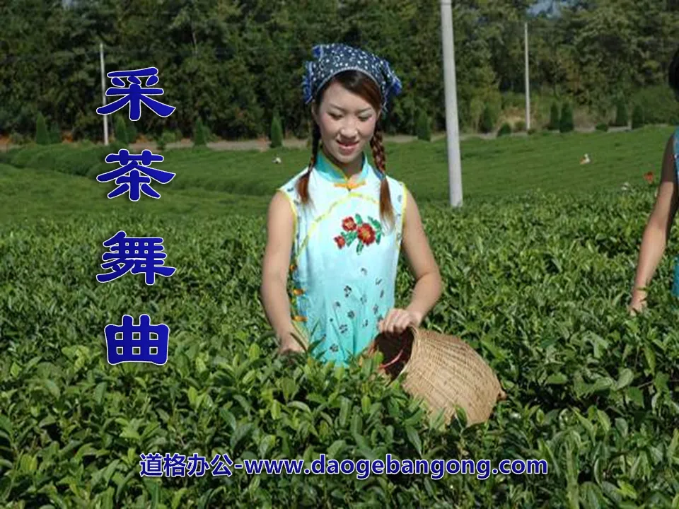 "Tea Picking Dance" PPT courseware