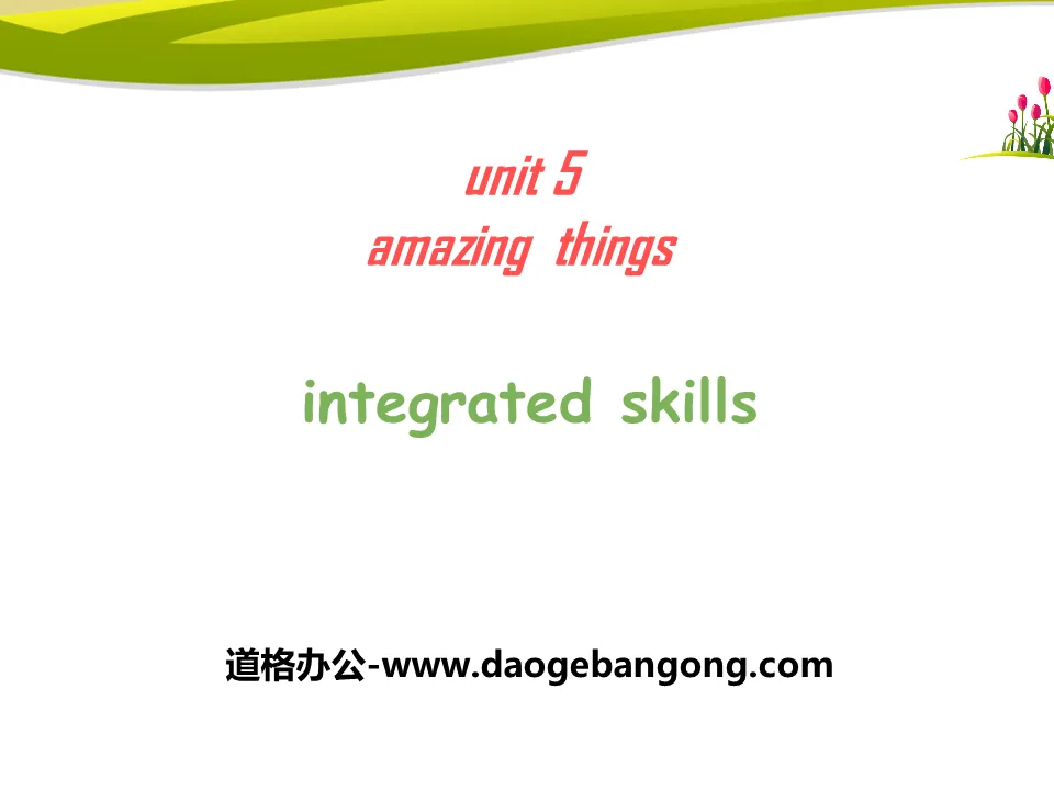 《Amazing things》Integrated skillsPPT