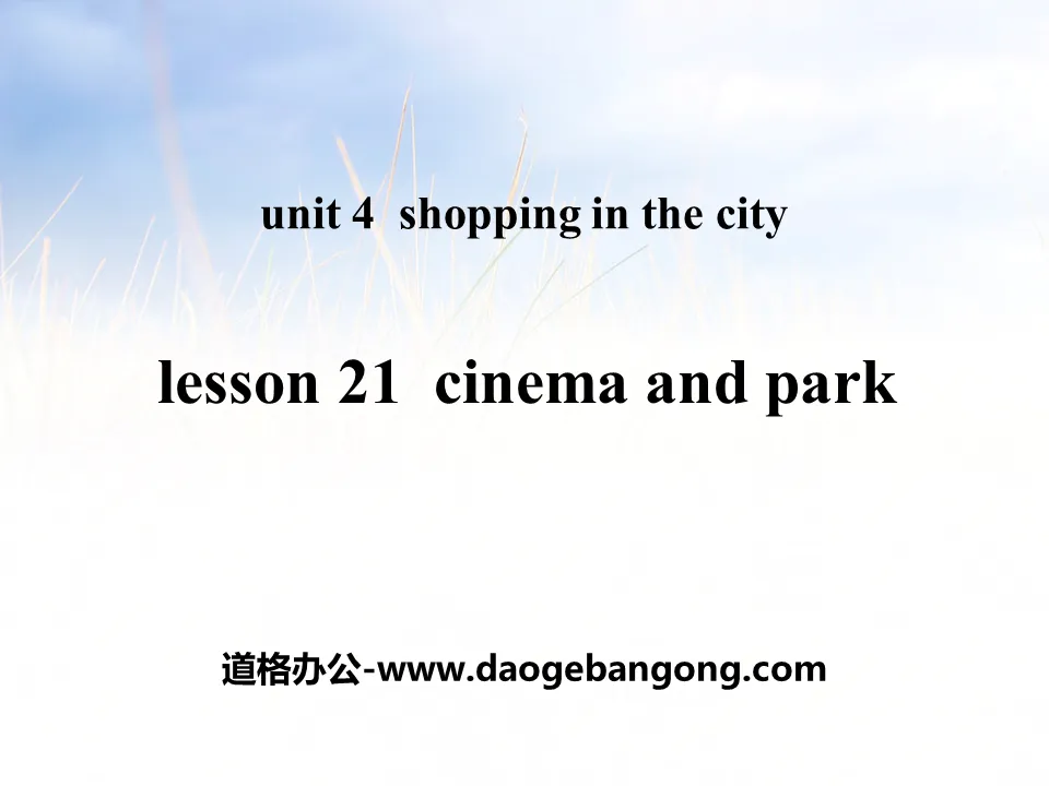 《Cinema and Park》Shopping in the City PPT教学课件