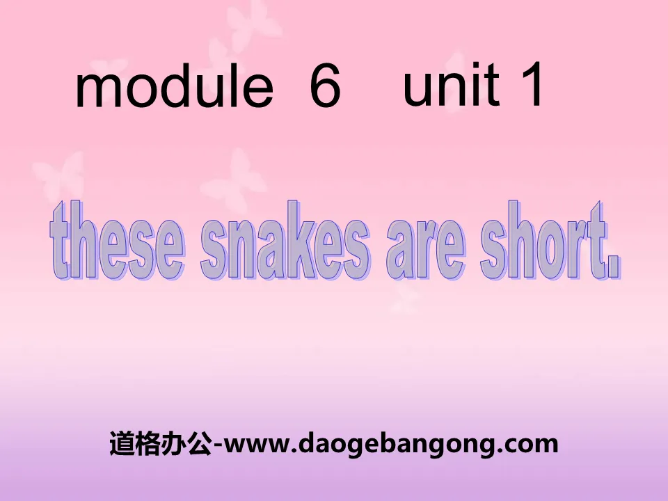 《These snakes are short》PPT课件