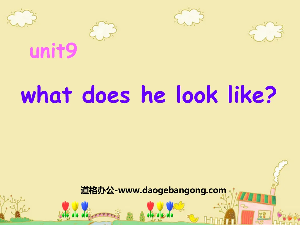 《What does he look like?》PPT课件6