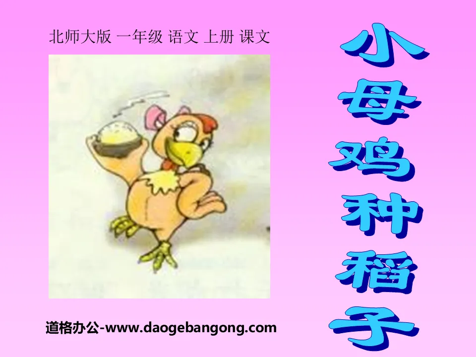 "Little Hen Plants Rice" PPT Courseware 3