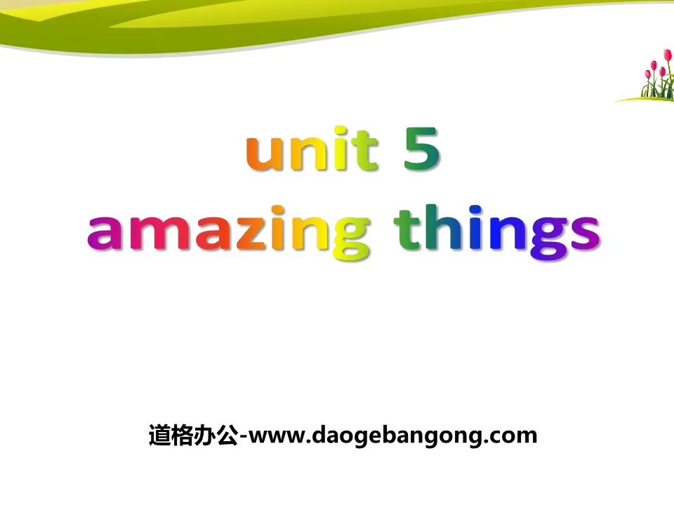 《Amazing things》PPT