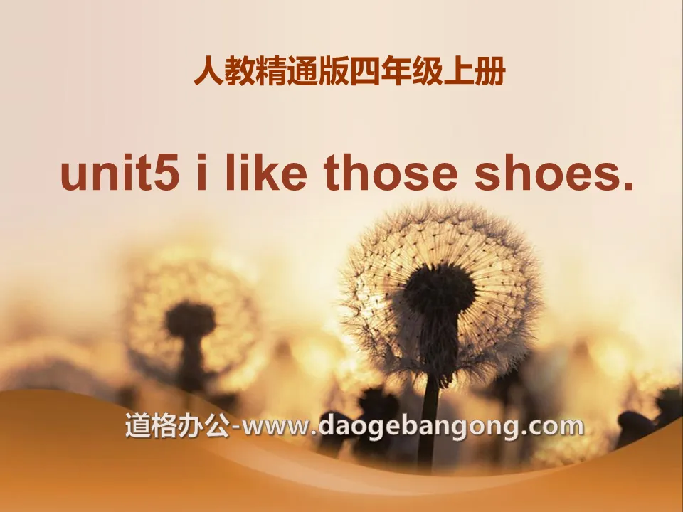 "I like those shoes" PPT courseware 5