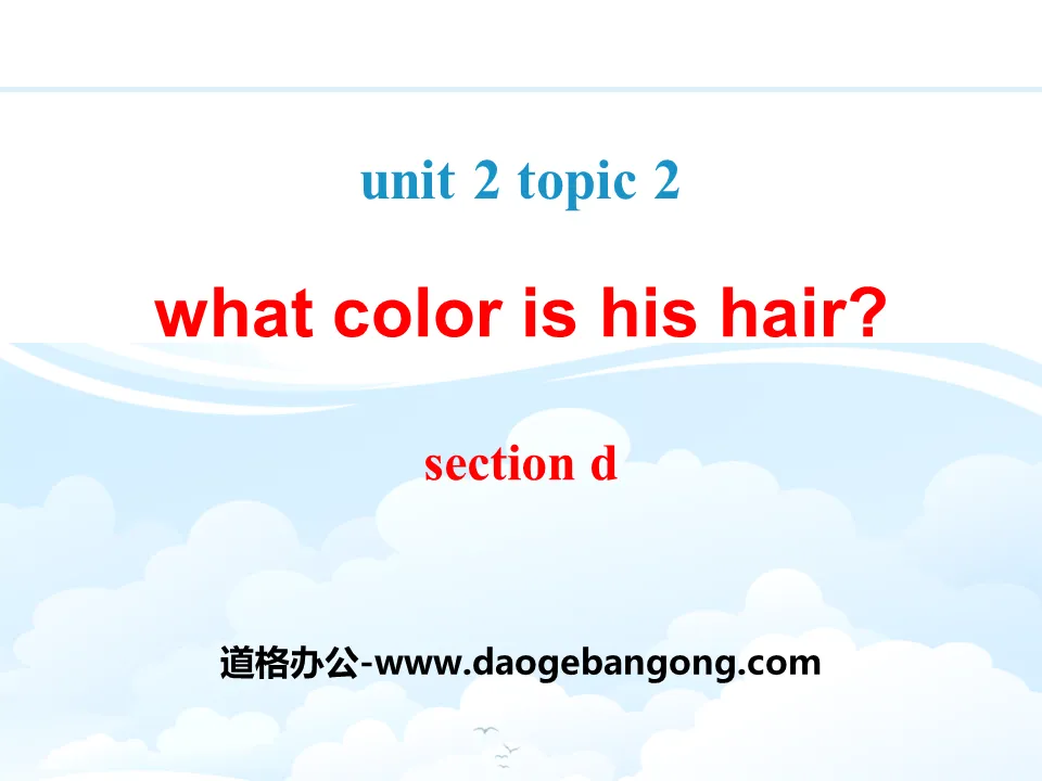 《What color is his hair?》SectionD PPT