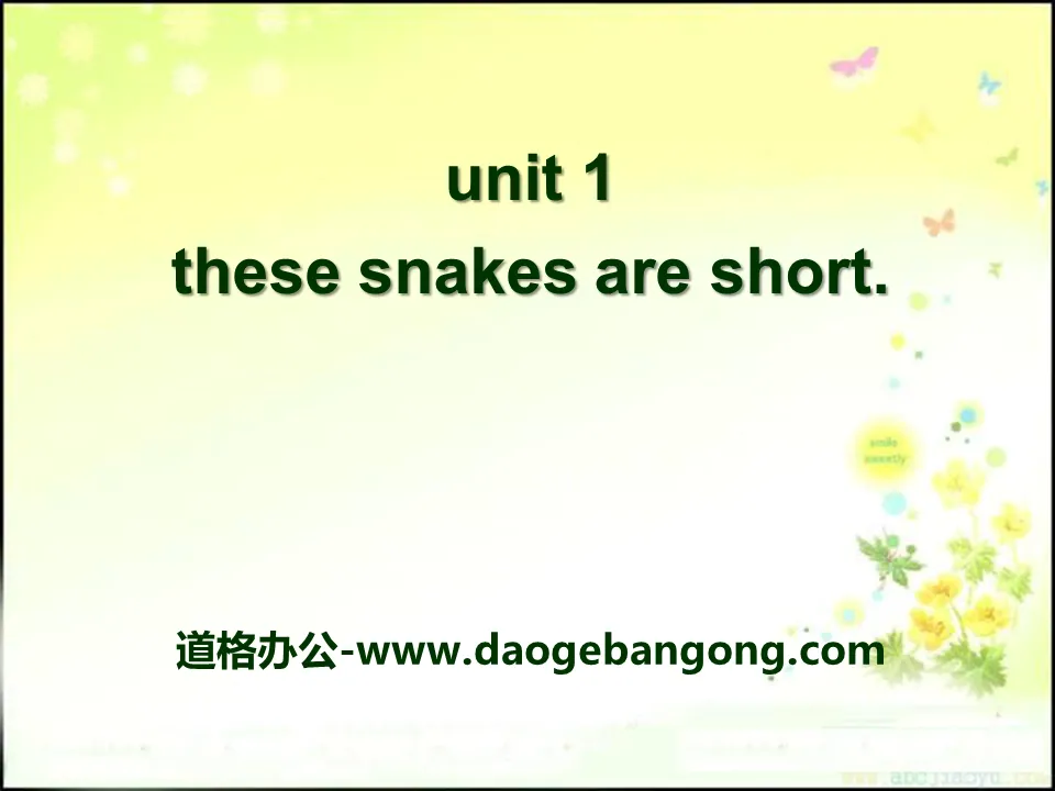 《These snakes are short》PPT课件2