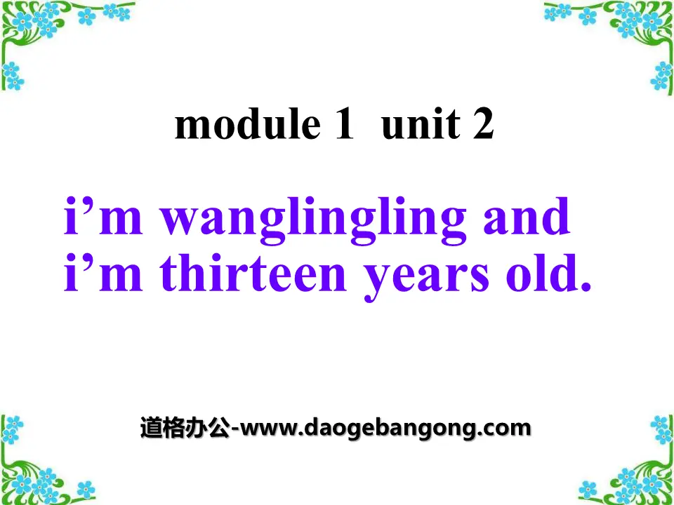 《I'm Wang Lingling and I'm thirteen years old》PPT課件4