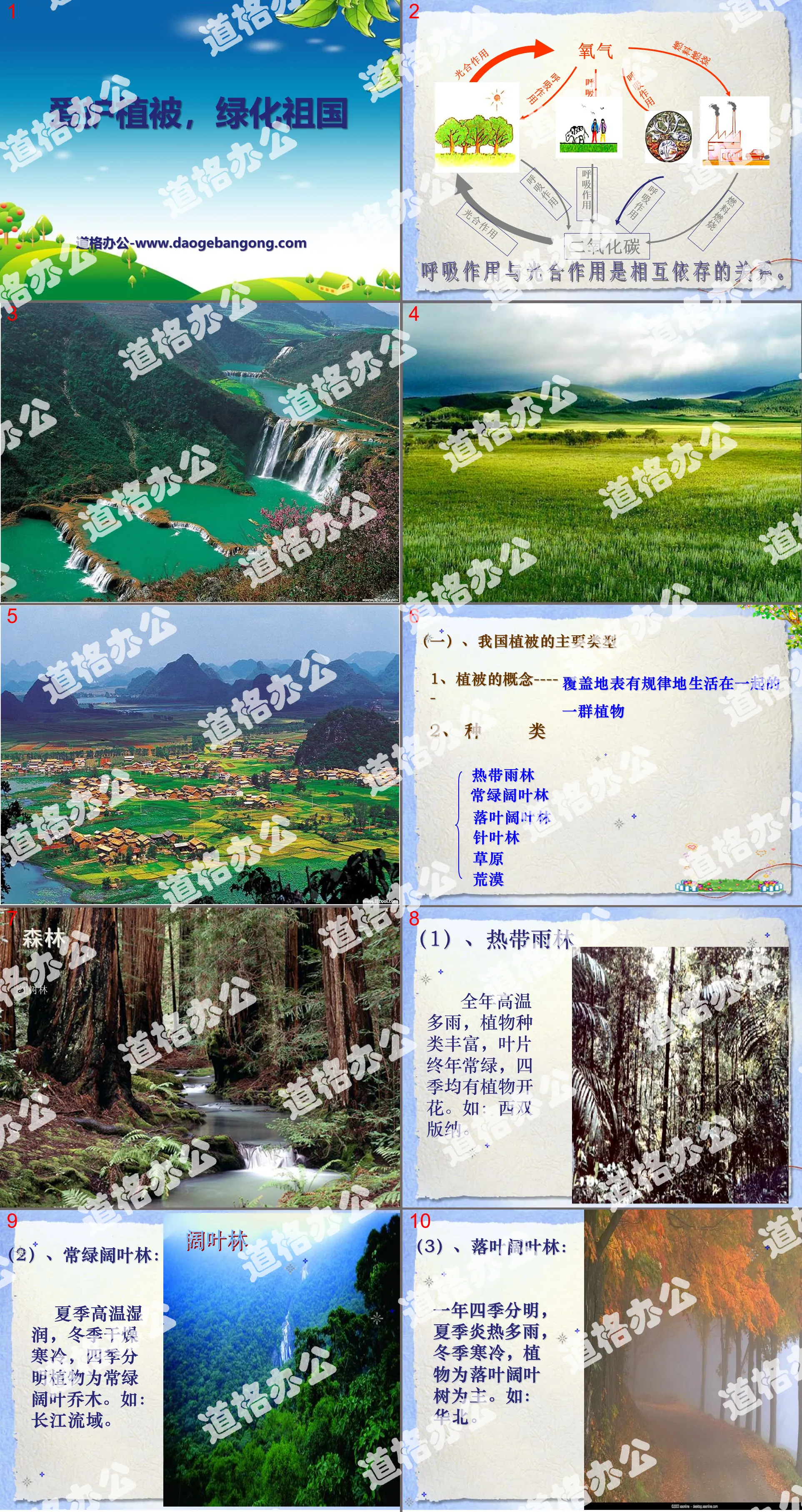 《爱护植被，绿化祖国》PPT课件6
