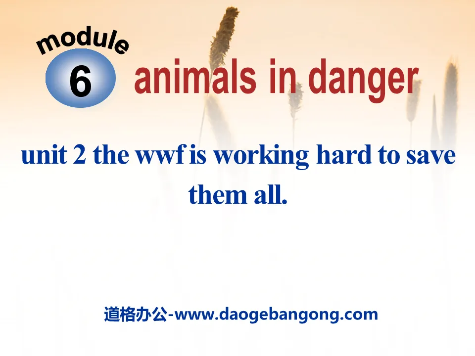 《The WWF is working hard to save them all》Animals in danger PPT课件3