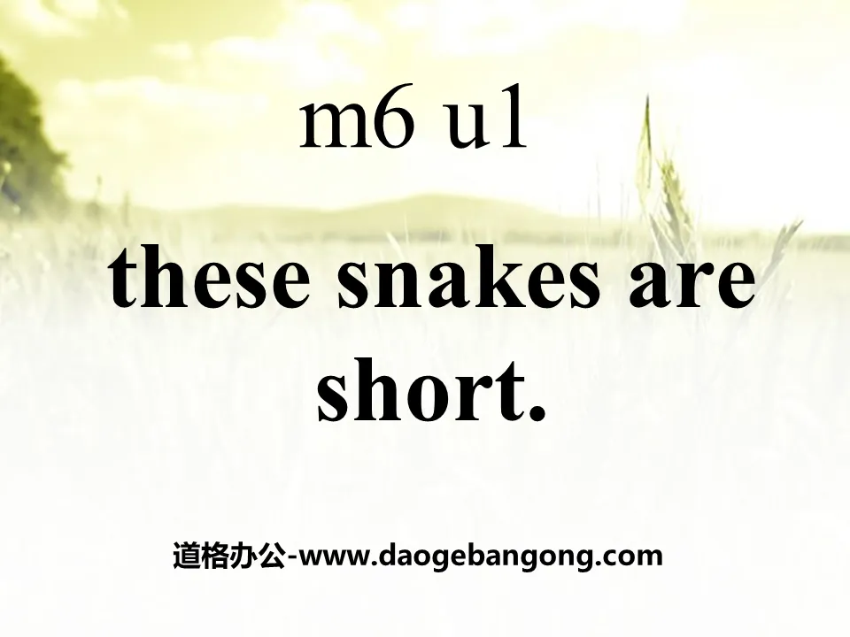 《These snakes are short》PPT课件3