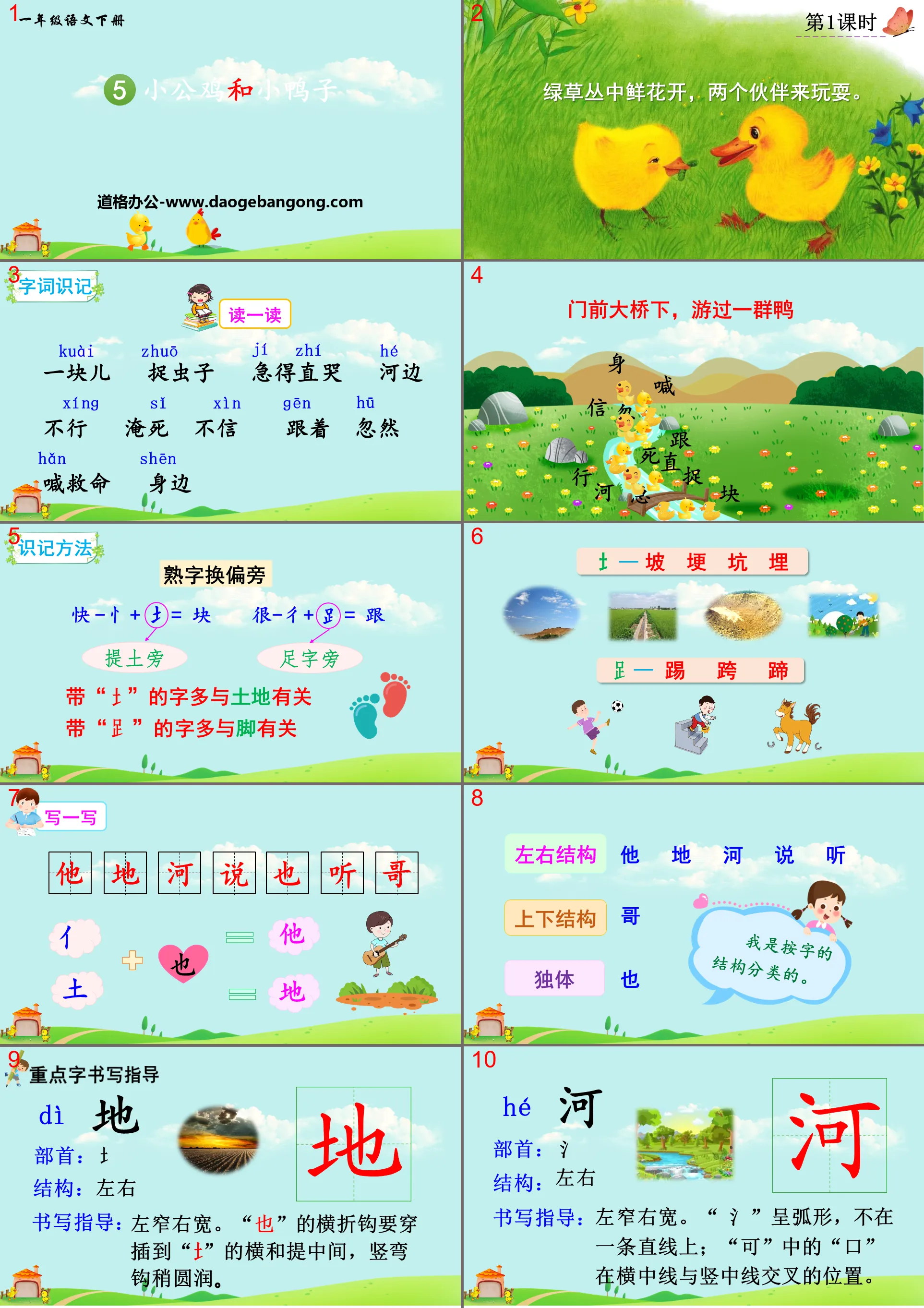 《小公鸡和小鸭子》PPT免费下载