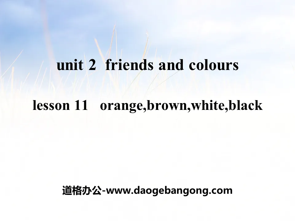 "Orange, Brown, White, Black" Friends and Colors PPT teaching courseware