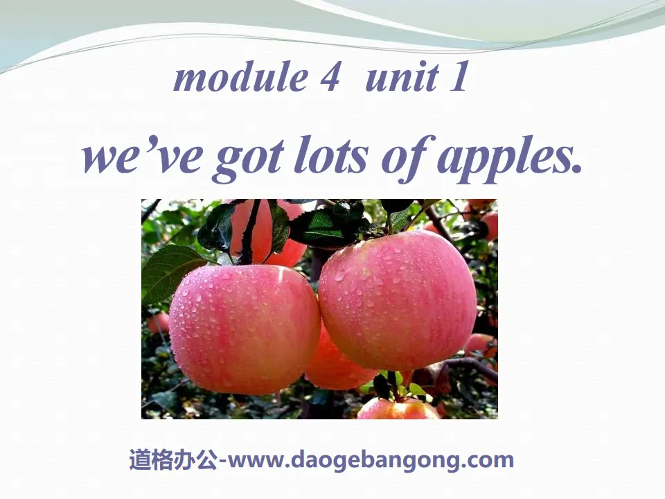 《We've got lots of apples》PPT課件