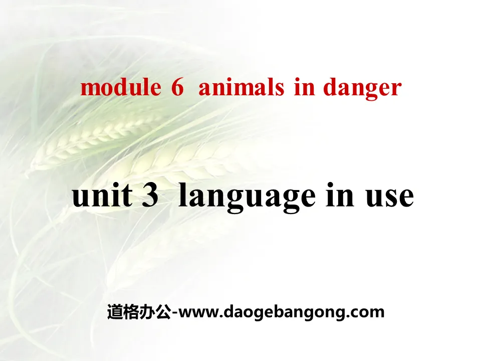 《Language in use》Animals in danger PPT课件2