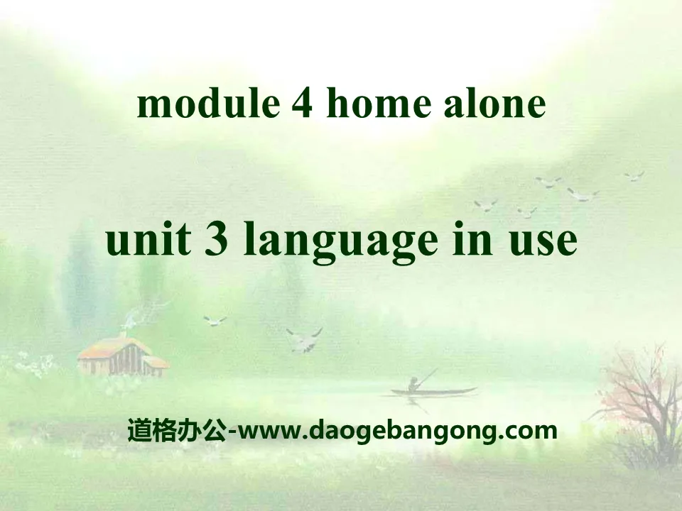 "Language in use" Home alone PPT courseware