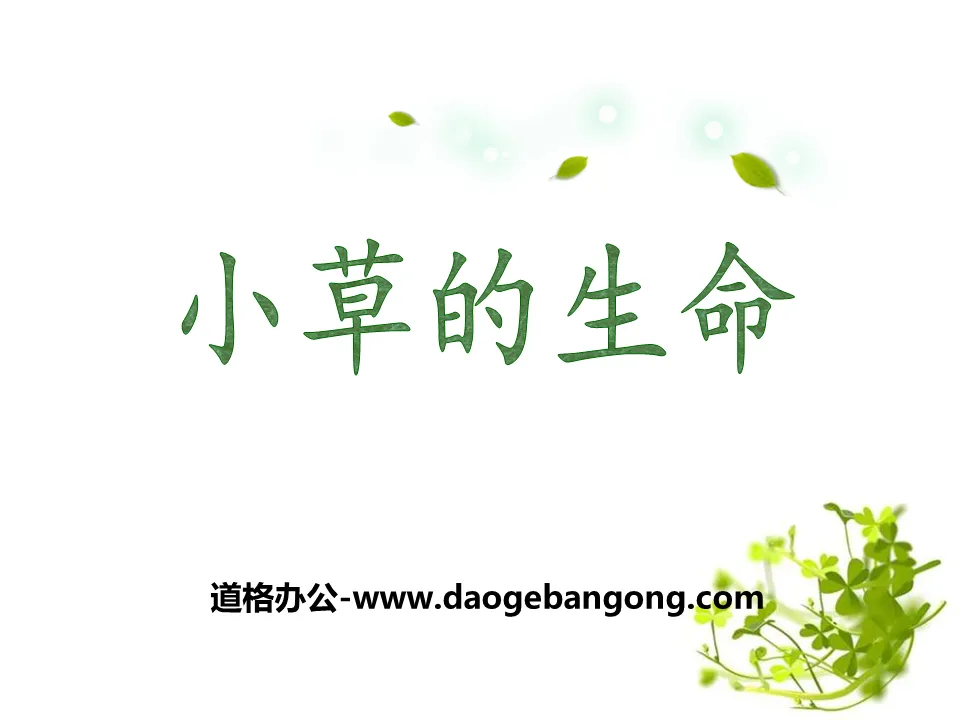 《小草的生命》PPT