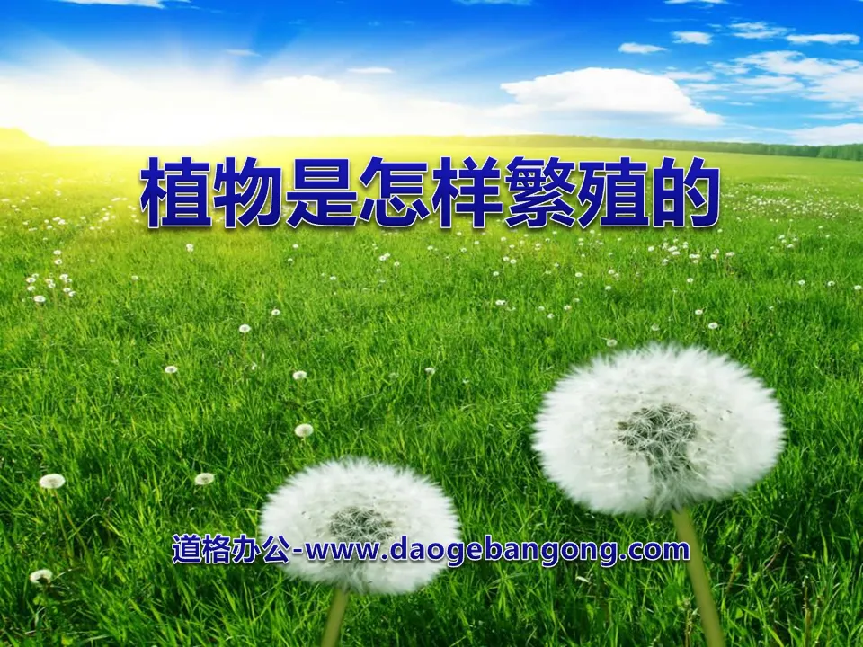 《植物是如何繁殖的》植物的生命系統PPT課程2