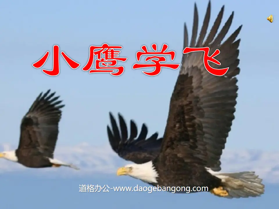 Didacticiel PPT « Eagle Learning to Fly »