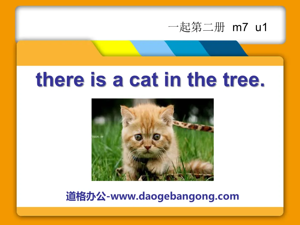 "Il y a un chat dans l'arbre" Didacticiel PPT