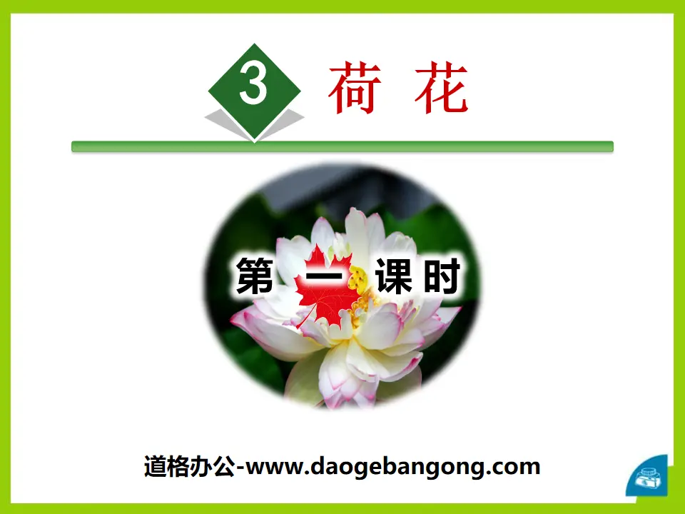 《荷花》PPT(第一课时)