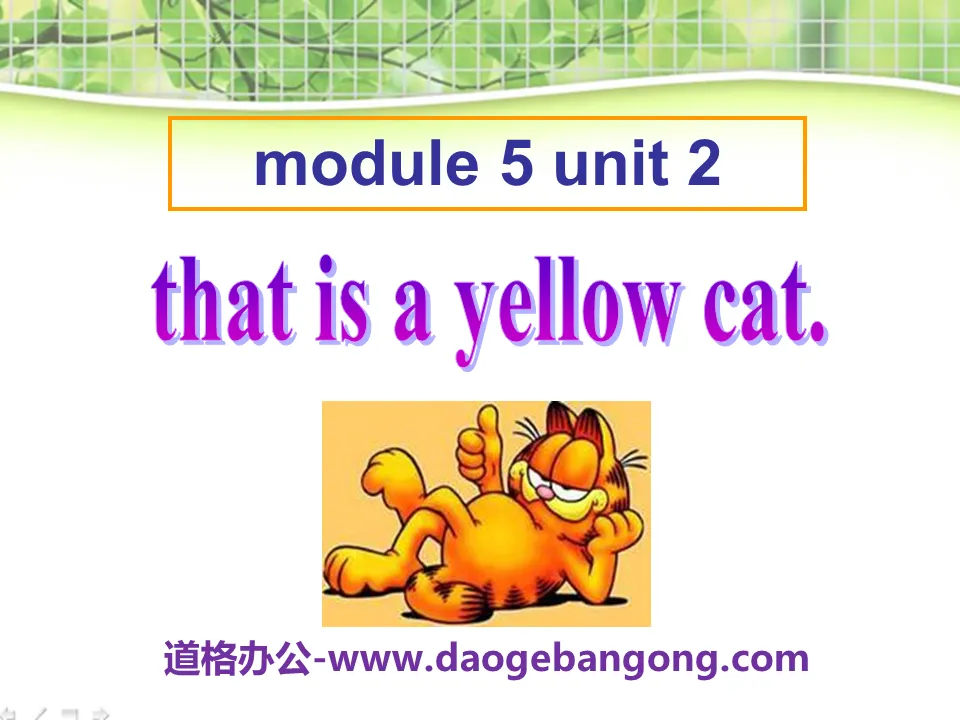 《This is a yellow cat》PPT课件2