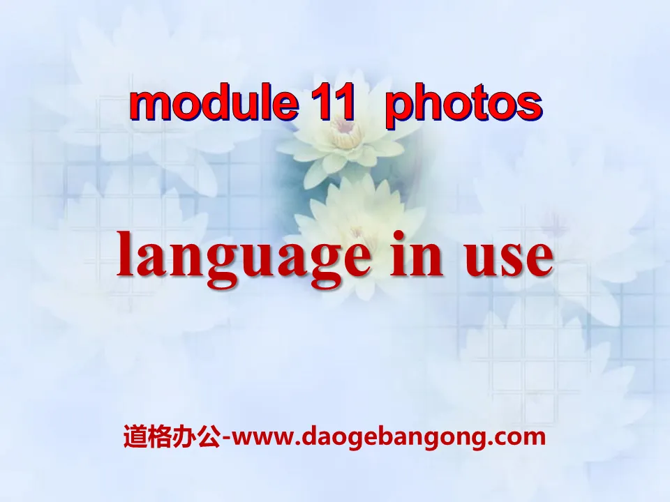 《Language in use》Photos PPT课件2